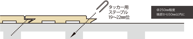 ＠250mm程度、端部から50mm以内／タッカー用ステープル19～22mm位