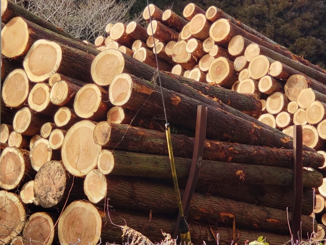 【用途別】不燃木材の羽目板 選び方のポイント