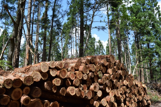 準不燃木材の加工が防火性能の認定に与える影響