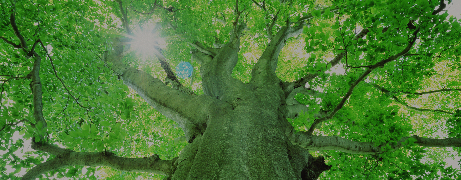 株式会社Bb Wood Japan